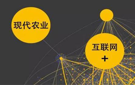 好消息！生豬大數(shù)據(jù)助推農(nóng)業(yè)供給側(cè)改革