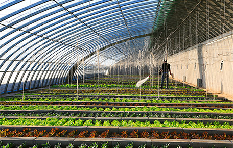 為現(xiàn)代農(nóng)業(yè)畫出“微笑曲線”