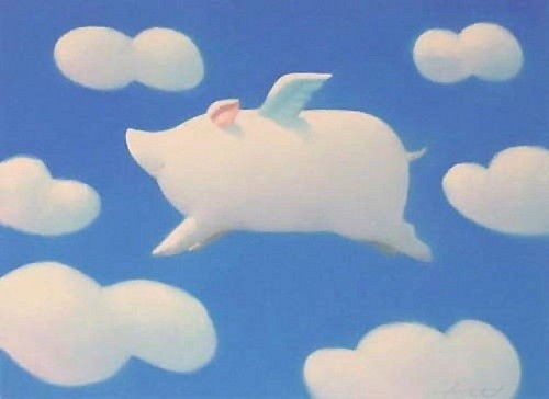 風(fēng)口上的豬