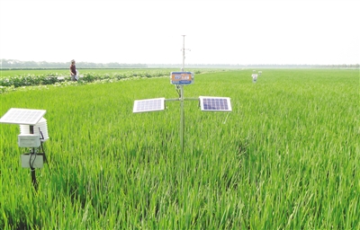 農(nóng)業(yè)物聯(lián)網(wǎng)的技術(shù)