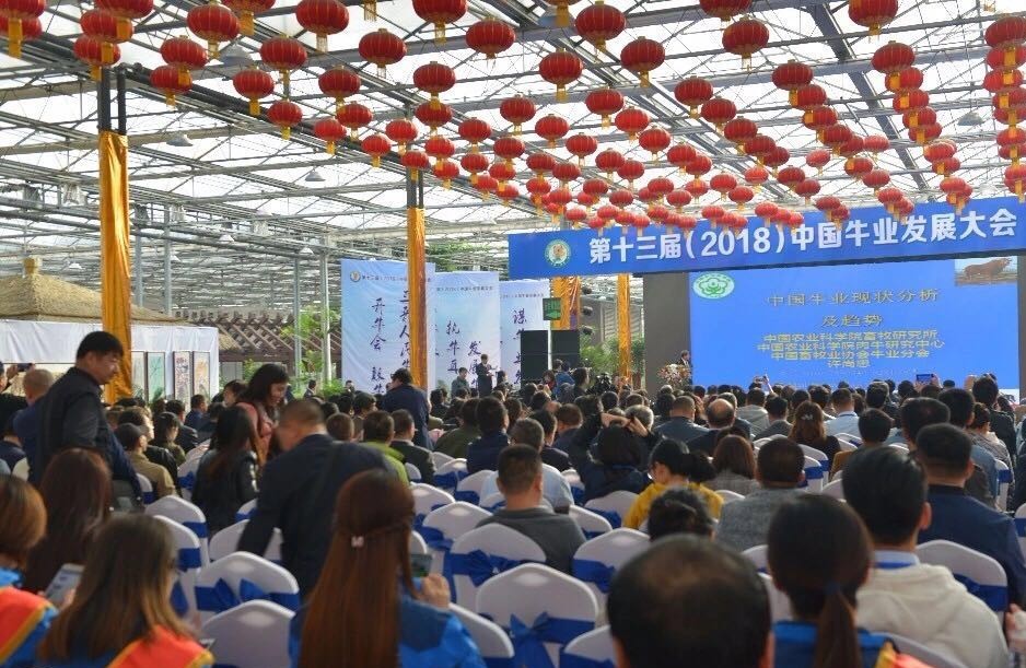 云輝牧聯(lián)科技賦能中國肉牛產(chǎn)業(yè)發(fā)展——第十三屆（2018）中國牛業(yè)發(fā)展大會圓滿落幕