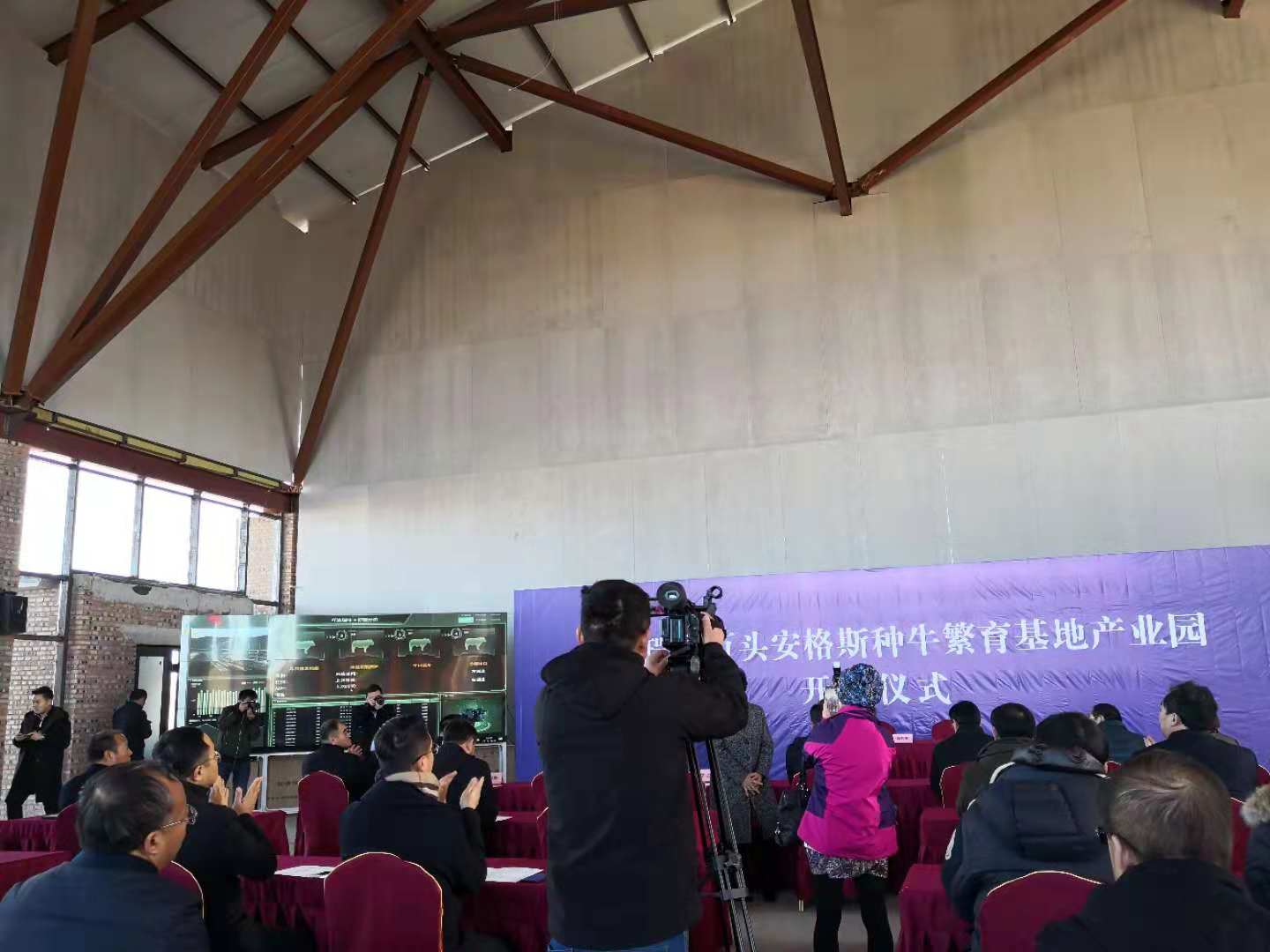 萬頭安格斯繁育基地落戶林西縣  云輝牧聯(lián)助力智慧牧場信息化建設(shè)