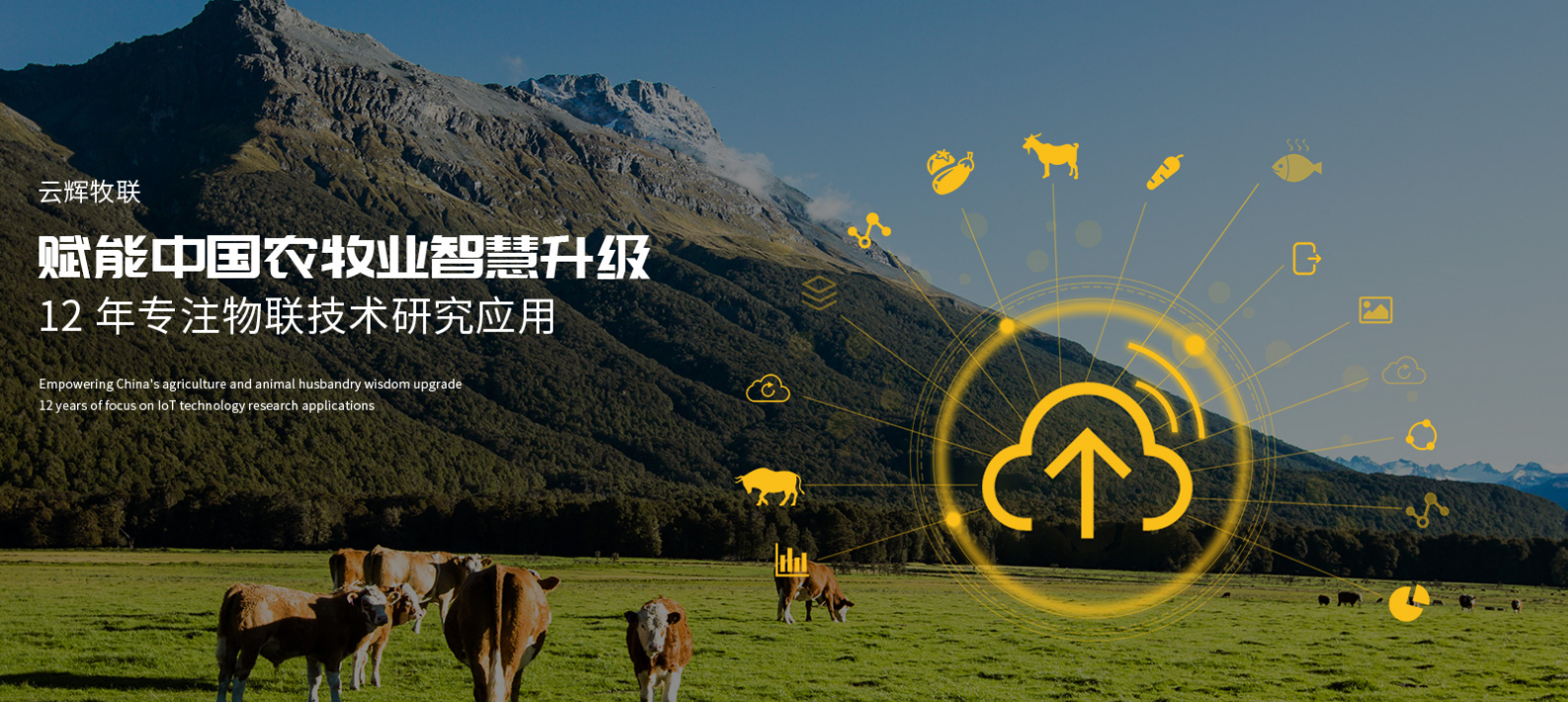 物聯(lián)網(wǎng)走進(jìn)牧場 高科技正改變農(nóng)村生活