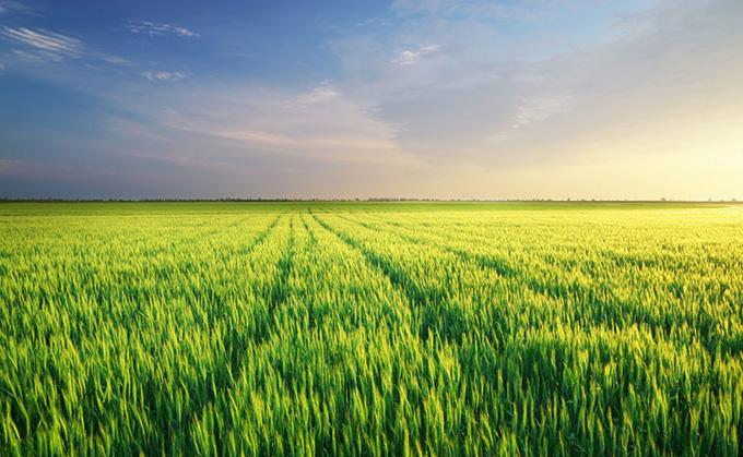 農(nóng)業(yè)農(nóng)村部印發(fā)《關(guān)于做好農(nóng)業(yè)生態(tài)環(huán)境監(jiān)測(cè)工作的通知》