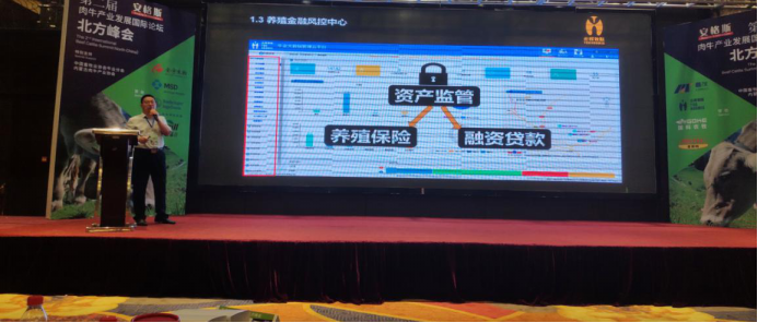 云輝牧聯(lián)全面布局“肉牛養(yǎng)殖系統(tǒng)+金融保險貸款”服務(wù)