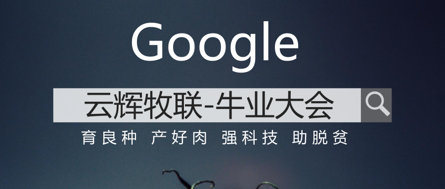 云輝牧聯(lián)作為肉牛產(chǎn)業(yè)信息化和食品安全追溯的科技服務企業(yè)，亮相牛業(yè)大會