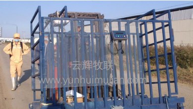 智能稱(chēng)重分群系統(tǒng)（YH-EQ002）