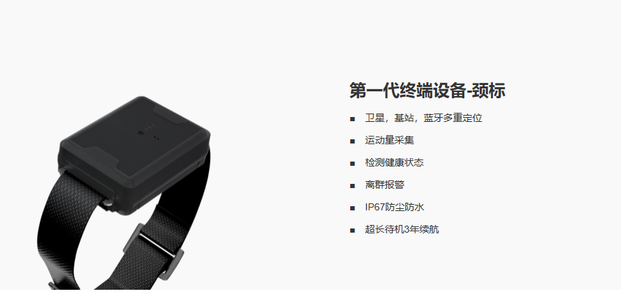 牛項(xiàng)圈（GPS定位、活動(dòng)量）