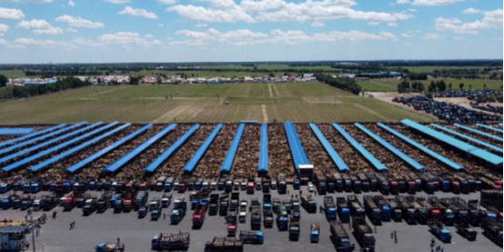 YooHooMIS活牛交易市場(chǎng)管理平臺(tái)