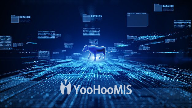 【解決方案】——為生產(chǎn)賦能，云輝牧聯(lián)YooHooMIS智能磅房管理系統(tǒng)推進(jìn)智慧農(nóng)業(yè)發(fā)展