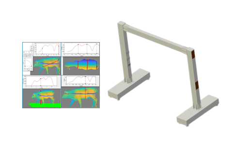 三維體尺自動測量系統(tǒng)
