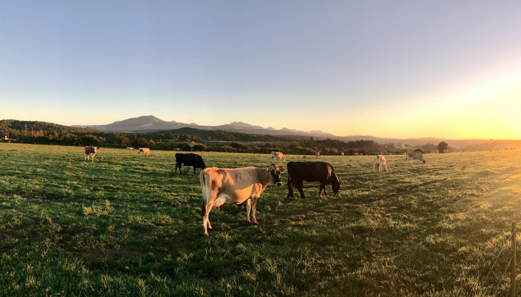 智慧養(yǎng)殖管理云平臺