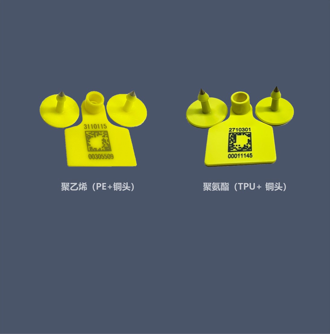 牛免疫耳標-內(nèi)頁圖