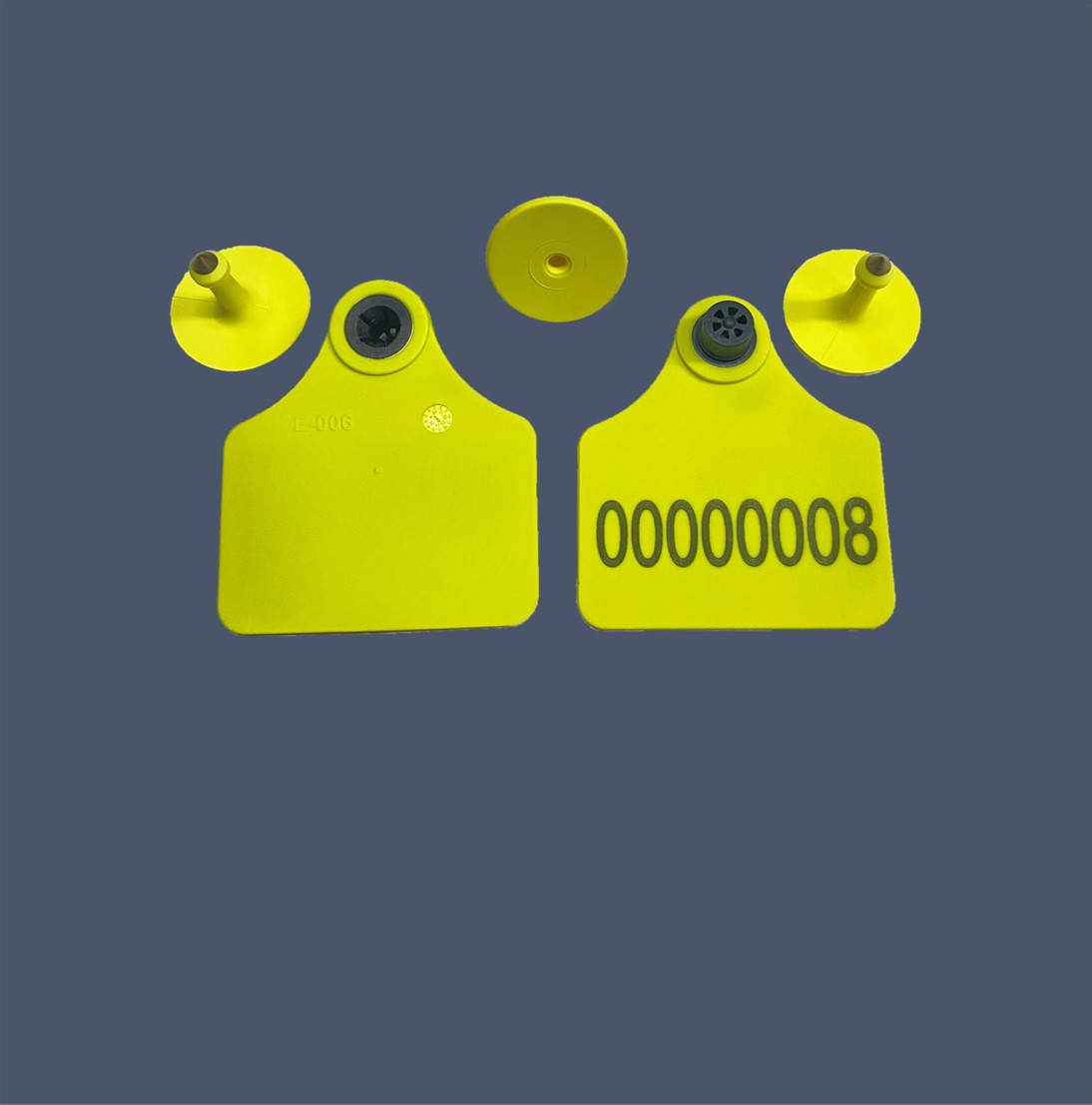 牛用超高頻電子耳標(biāo)-內(nèi)頁圖