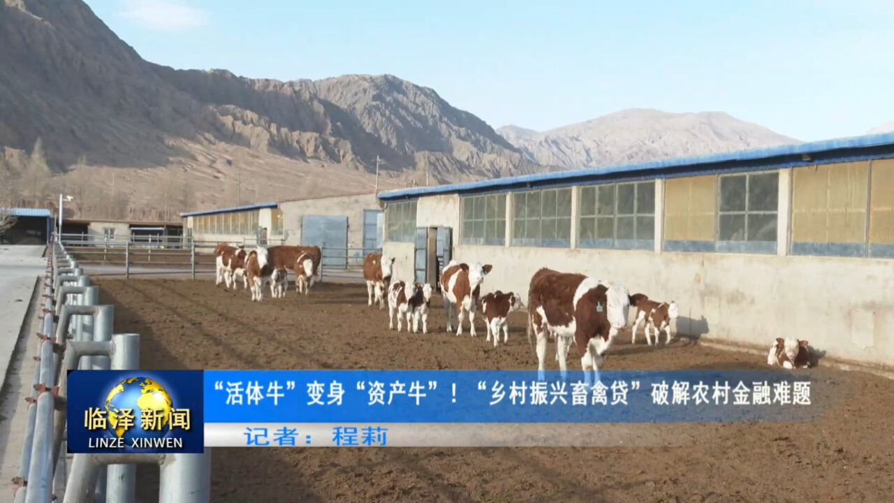 養(yǎng)牛不再愁 “錢景”：云輝牧聯(lián)讓肉牛產(chǎn)業(yè)信貸服務(wù)觸手可及